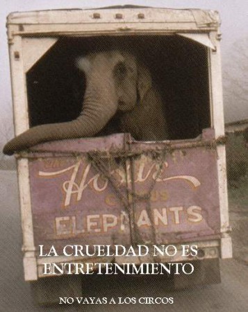 La crueldad No es entretenimiento. No vayas a los circos con animales